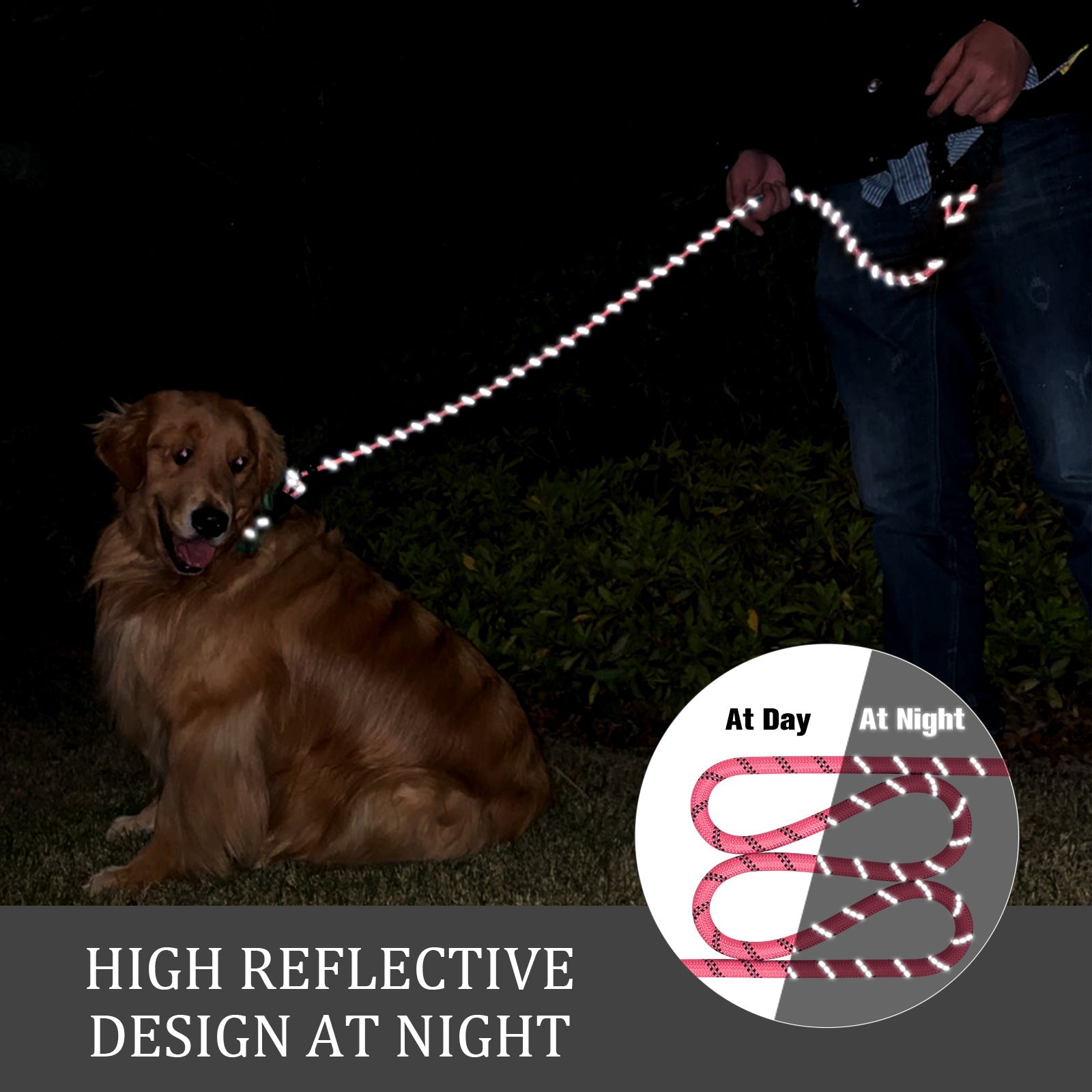 Reflective Dog Leash with Padded Handle – Adjustable and Durable for All Dogs