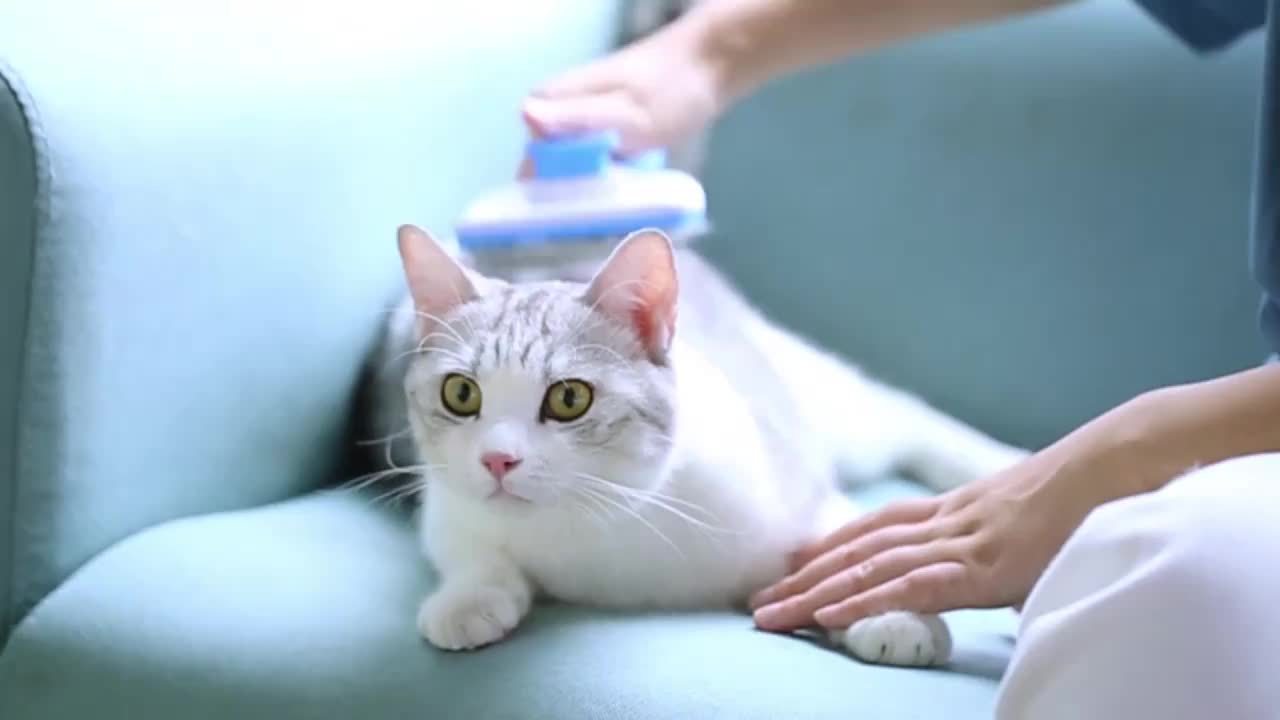 Sleek Glide Pet Groomer – Effortless Hair Removal & Soothing Massage