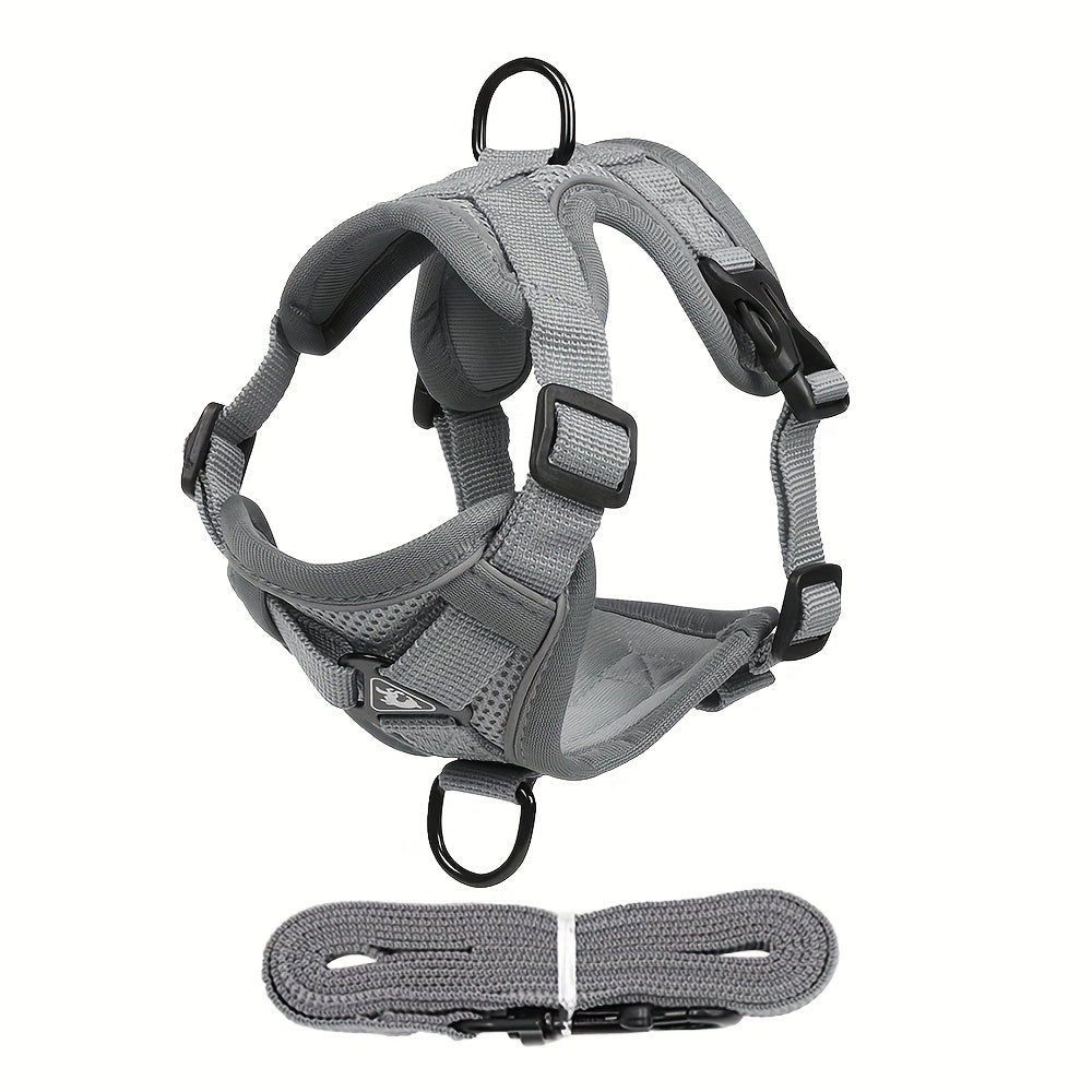 Reflective Cat Harness and Leash Set – Ideal for Walking and Training
