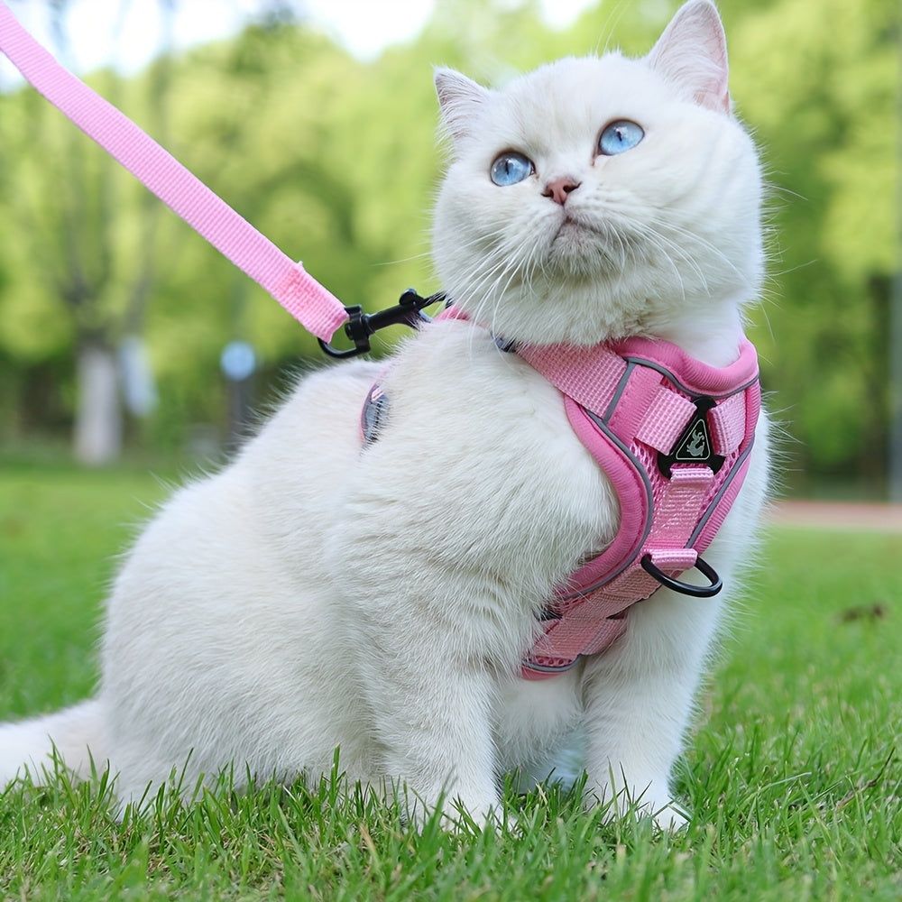 Reflective Cat Harness and Leash Set – Ideal for Walking and Training