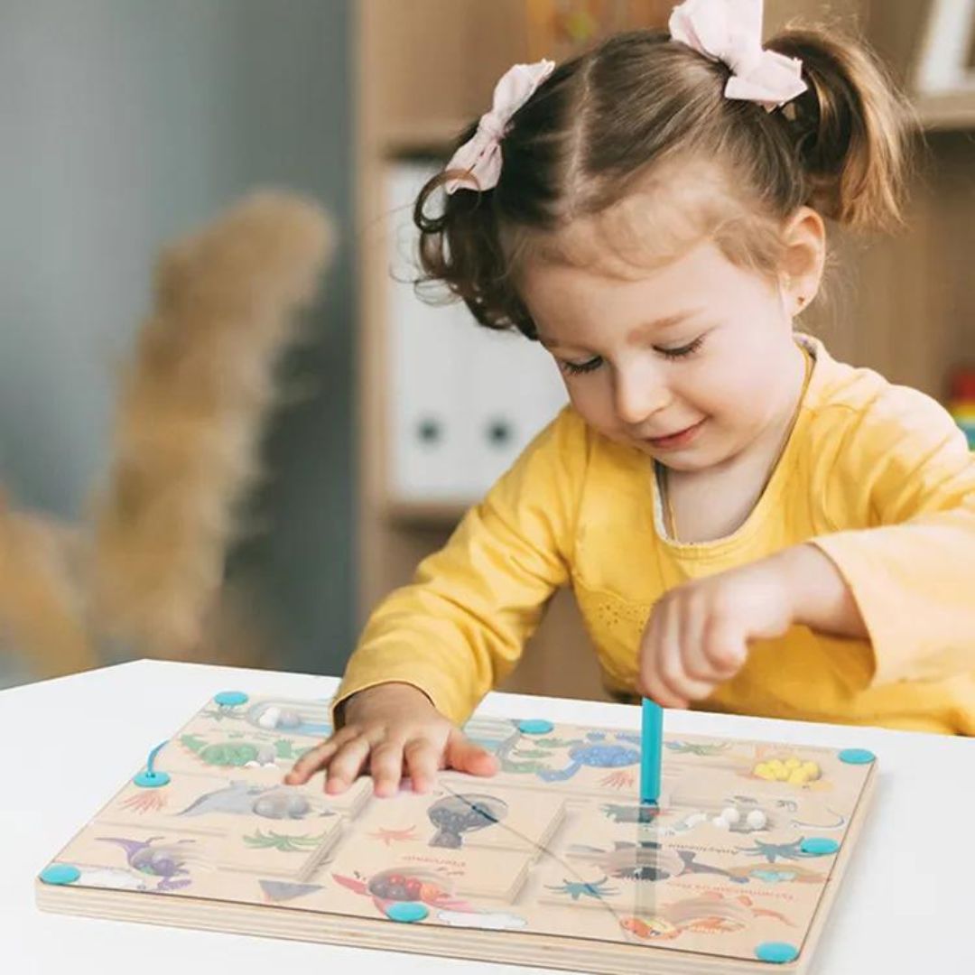 Educational Magnetic Dinosaur Maze - Learn Colors and Counting