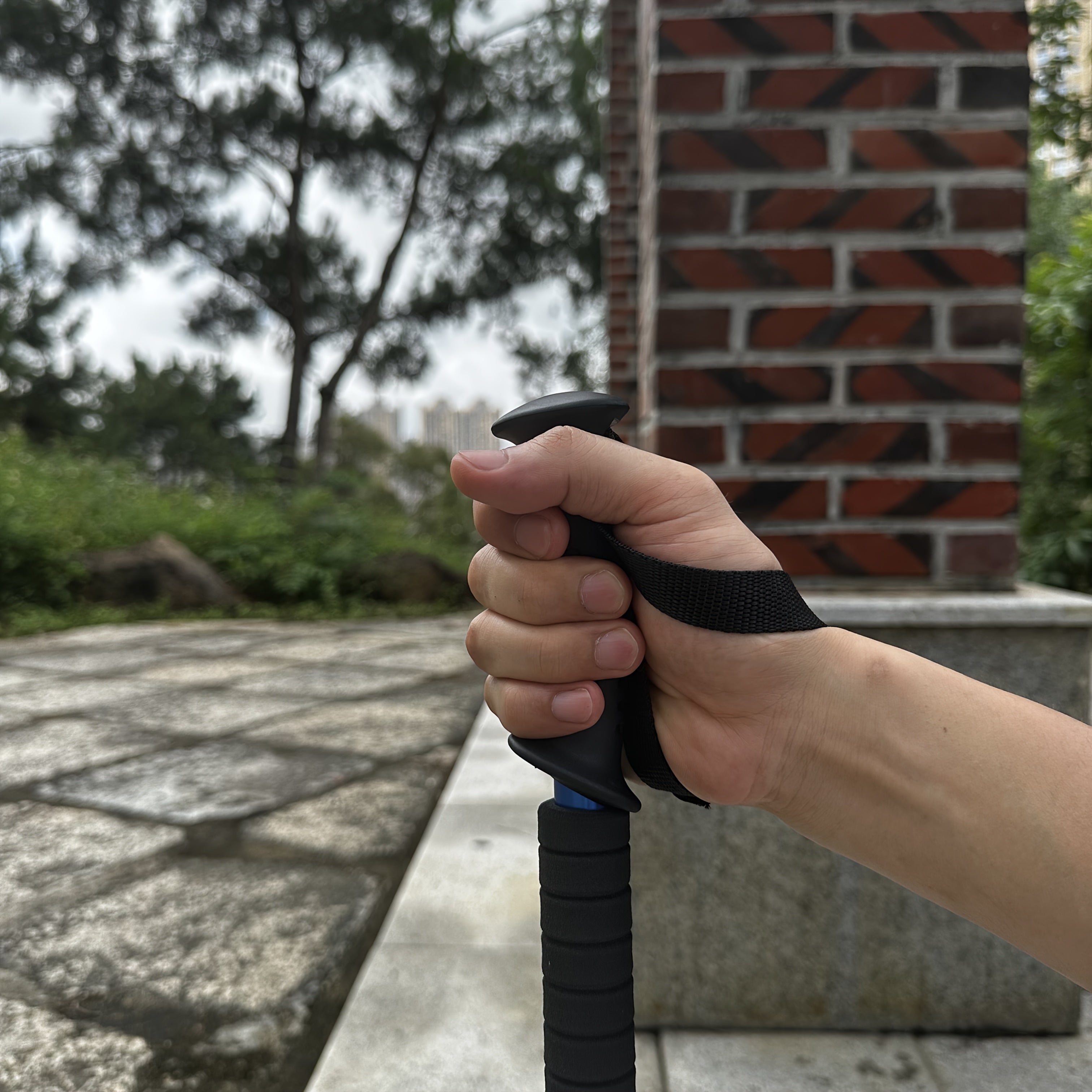 Lightweight Aluminum Trekking Poles – Adjustable and Shock-Absorbing for Adventurous Hikers