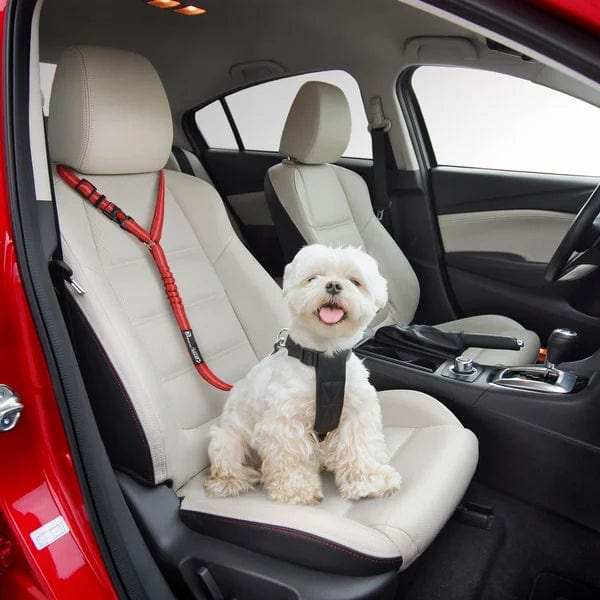 PetSafe - Adjustable Dog Seat Belt