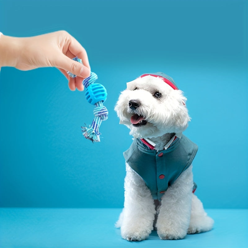 Interactive Dog Chew Toy – With Colorful Knots and Rubber Ball