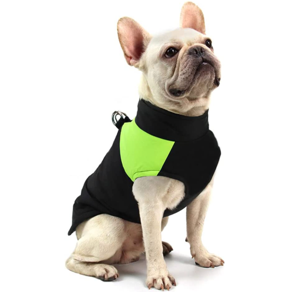 CozyPaws Dog Jacket - Warm & Waterproof
