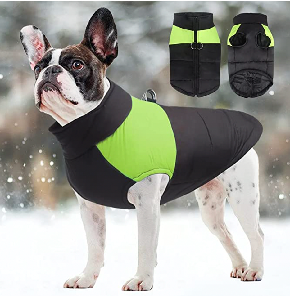 CozyPaws Dog Jacket - Warm & Waterproof