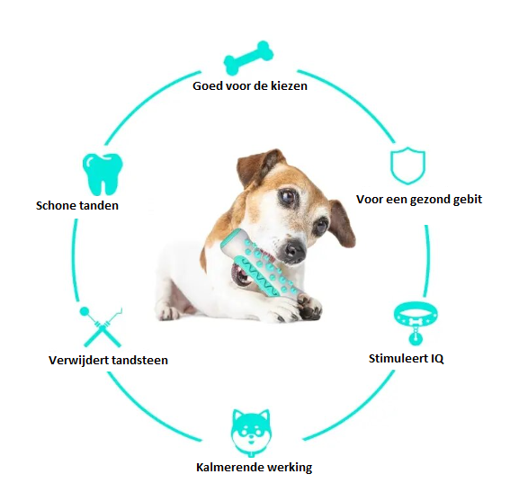 Treat Play Roll for Dogs – Fun and Reward in One