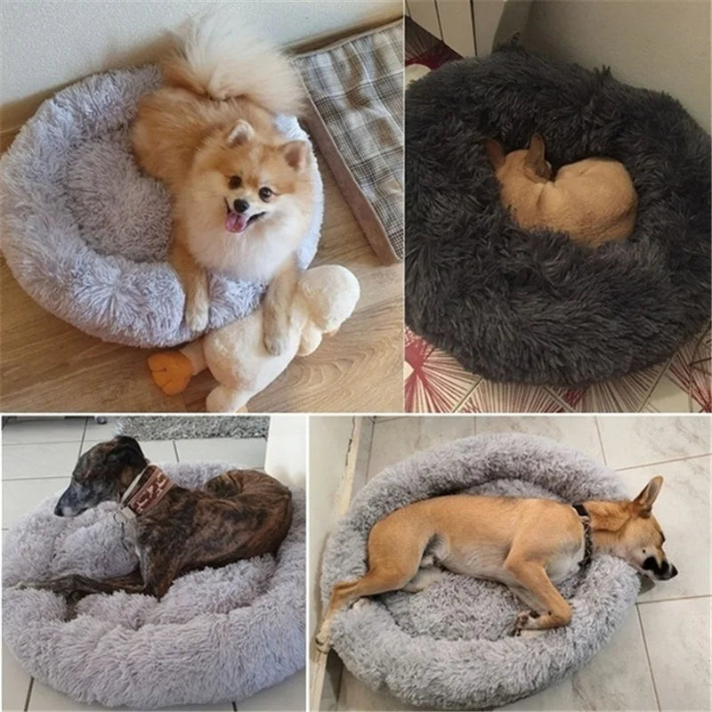 SnuggleNest Donut Bed – Soft and Soothing for Cats and Dogs
