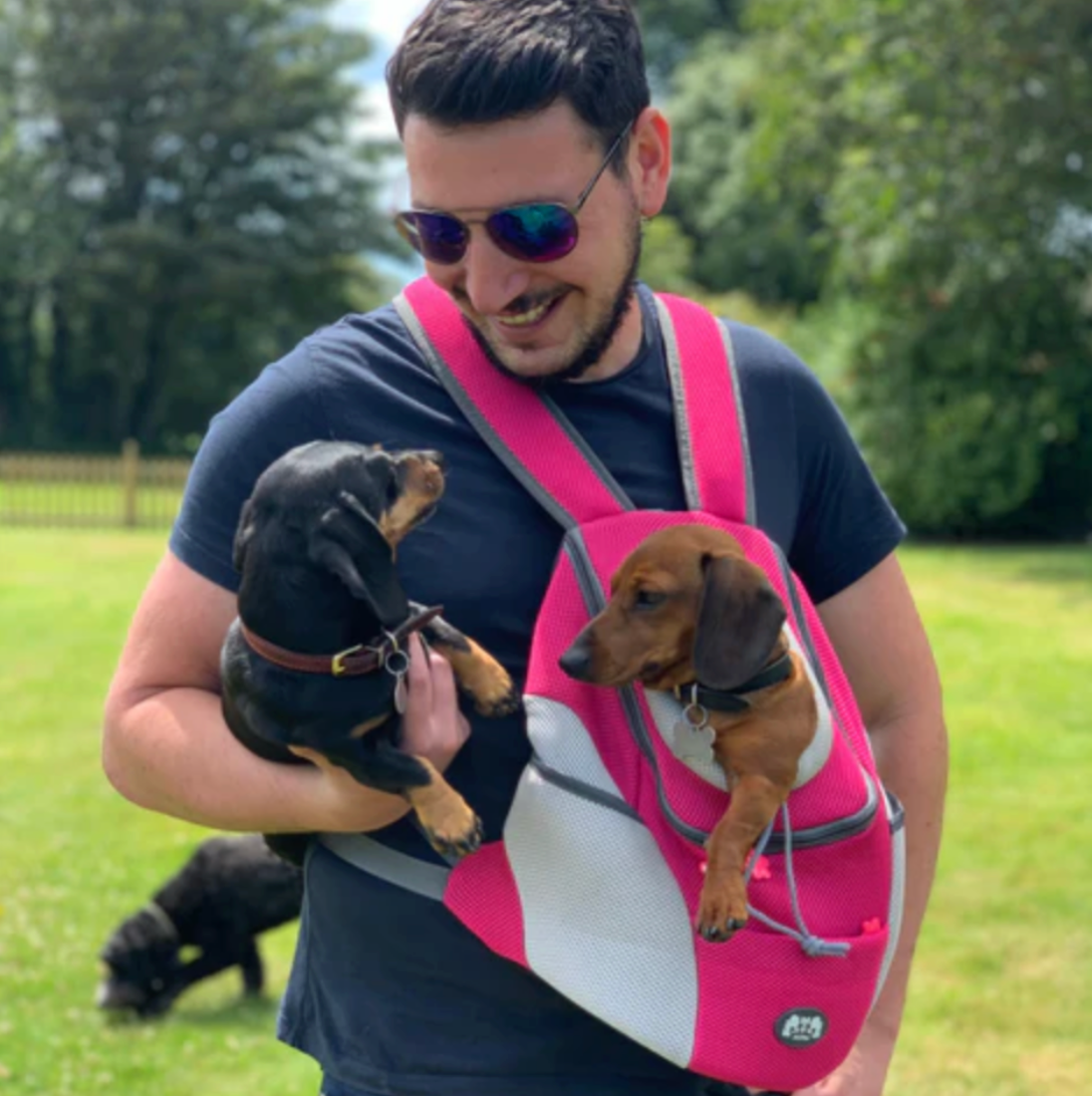 PetAdventure Backpack - Comfortable & Practical