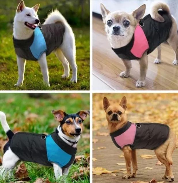 CozyPaws Dog Jacket - Warm & Waterproof