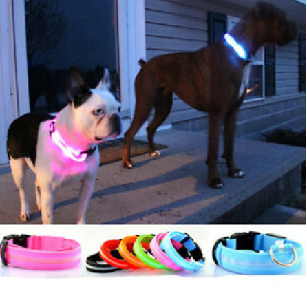 DogSafe Pro - LED Collar for Dogs - Feel Safe and Stylish While Walking