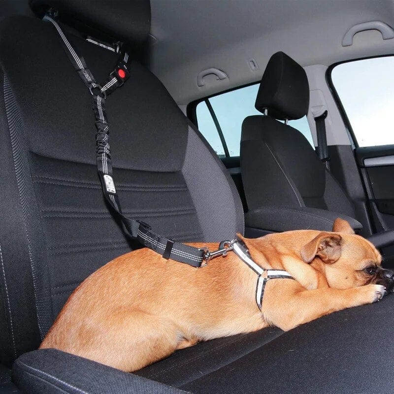 PetSafe - Adjustable Dog Seat Belt