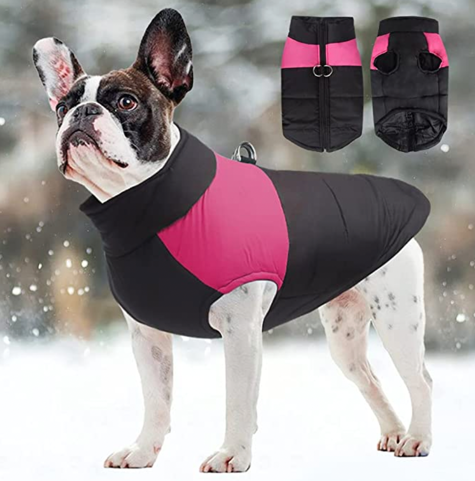 CozyPaws Dog Jacket - Warm & Waterproof