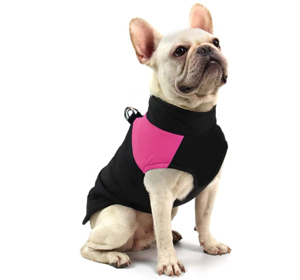 CozyPaws Dog Jacket - Warm & Waterproof