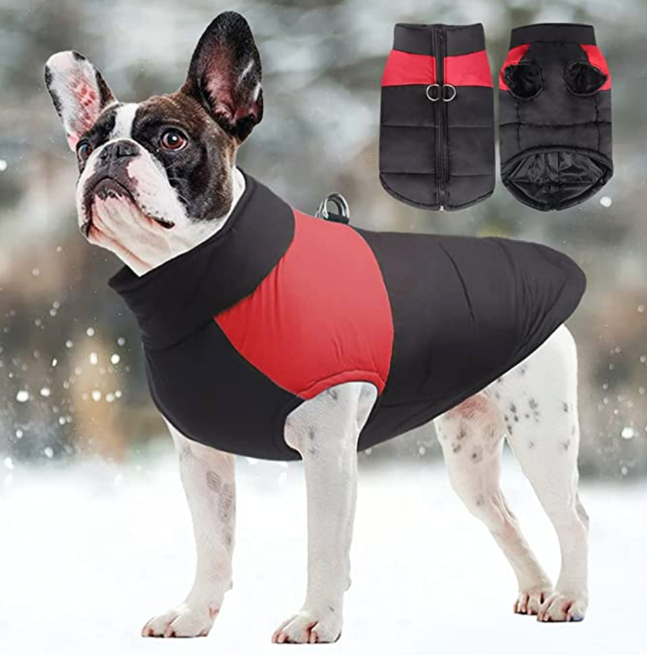 CozyPaws Dog Jacket - Warm & Waterproof