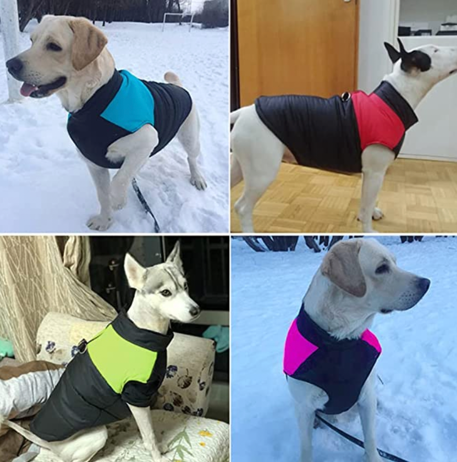 CozyPaws Dog Jacket - Warm & Waterproof