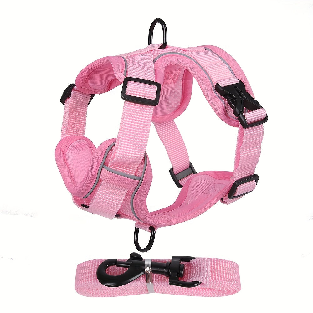 Reflective Cat Harness and Leash Set – Ideal for Walking and Training
