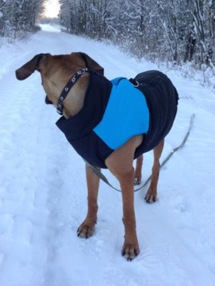 CozyPaws Dog Jacket - Warm & Waterproof