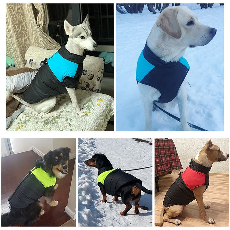 CozyPaws Dog Jacket - Warm & Waterproof
