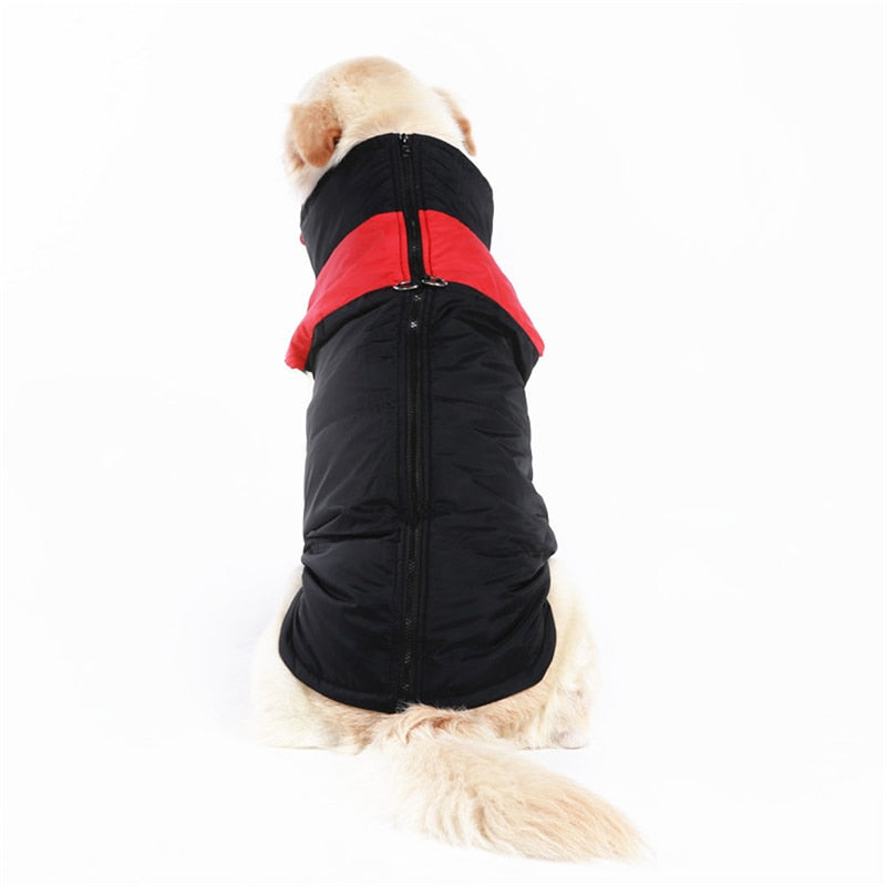 CozyPaws Dog Jacket - Warm & Waterproof