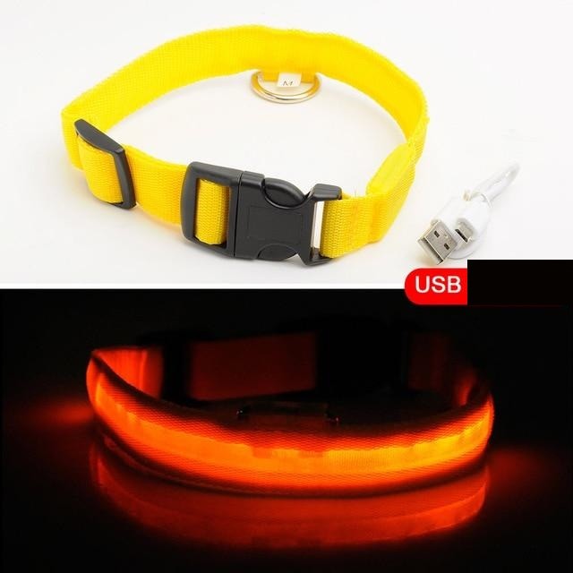 DogSafe Pro - LED Collar for Dogs - Feel Safe and Stylish While Walking