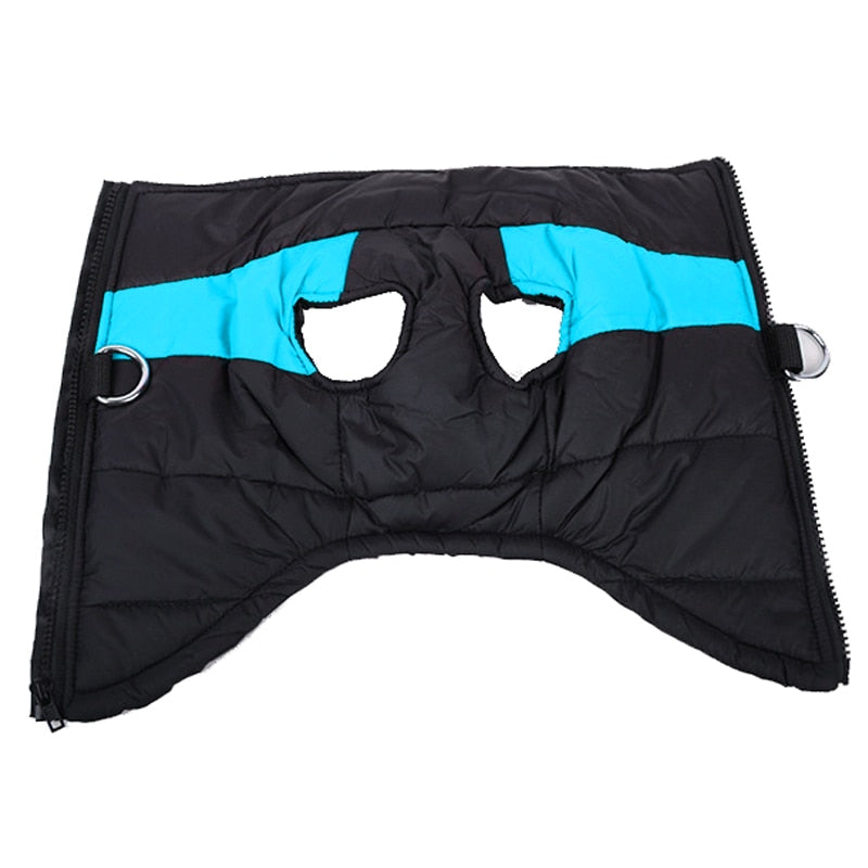 CozyPaws Dog Jacket - Warm & Waterproof