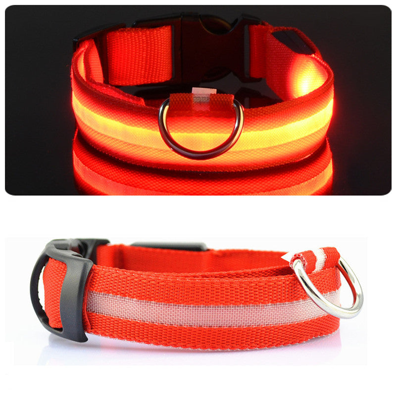DogSafe Pro - LED Collar for Dogs - Feel Safe and Stylish While Walking