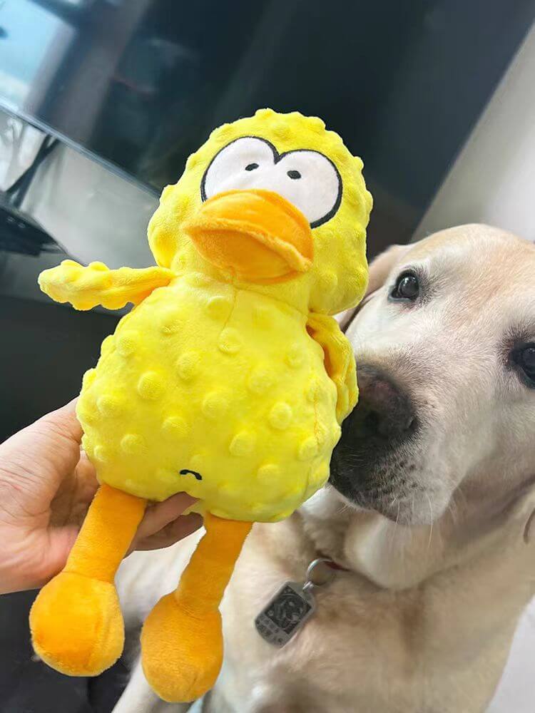 Beverly the Tough Bear – For Playful Chewing Moments