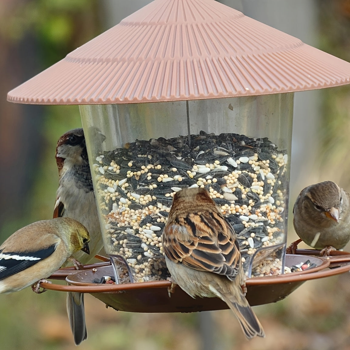 Mushroom-Shaped Bird Feeding Station – Handy and Decorative for Gardens and Outdoor Spaces