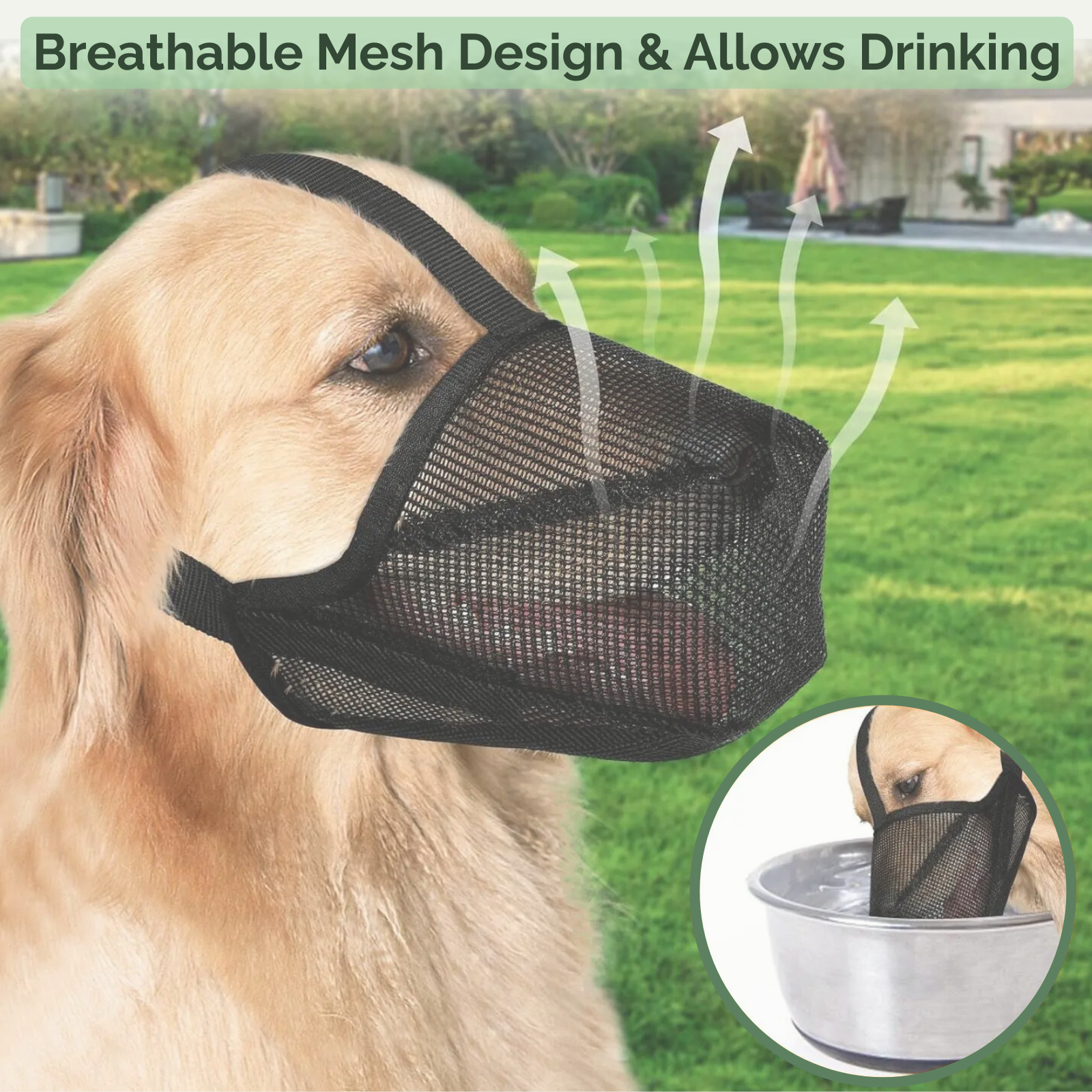 AirMesh Muzzle – Soft and Comfortable Dog Muzzle