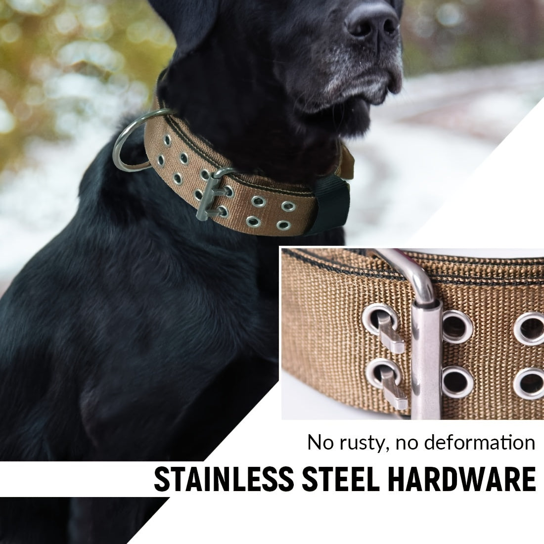 Adjustable Nylon Dog Collar – Comfort and Control for Large Dogs