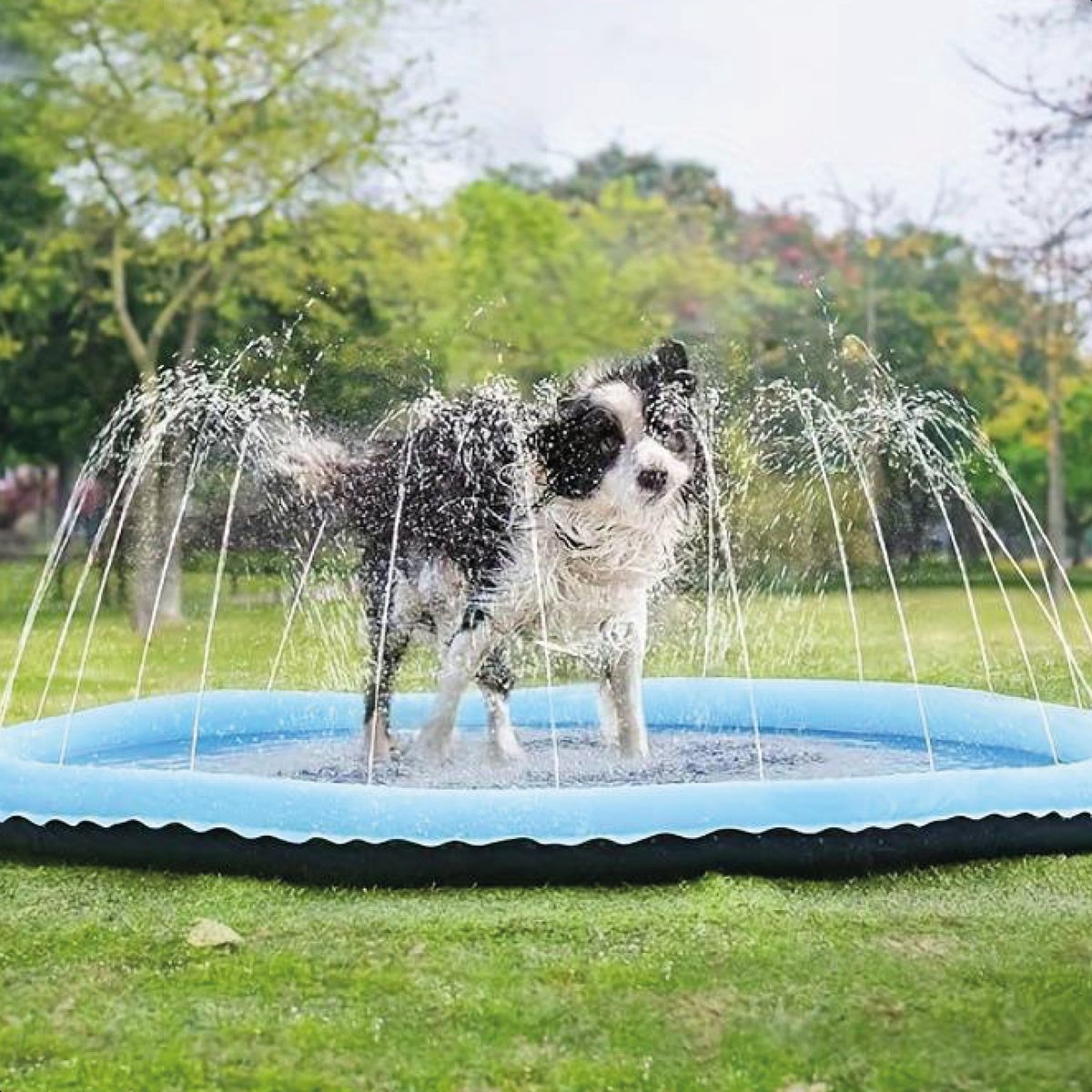 Dog Water Splash Pad – Refreshing Play Mat with Fountain