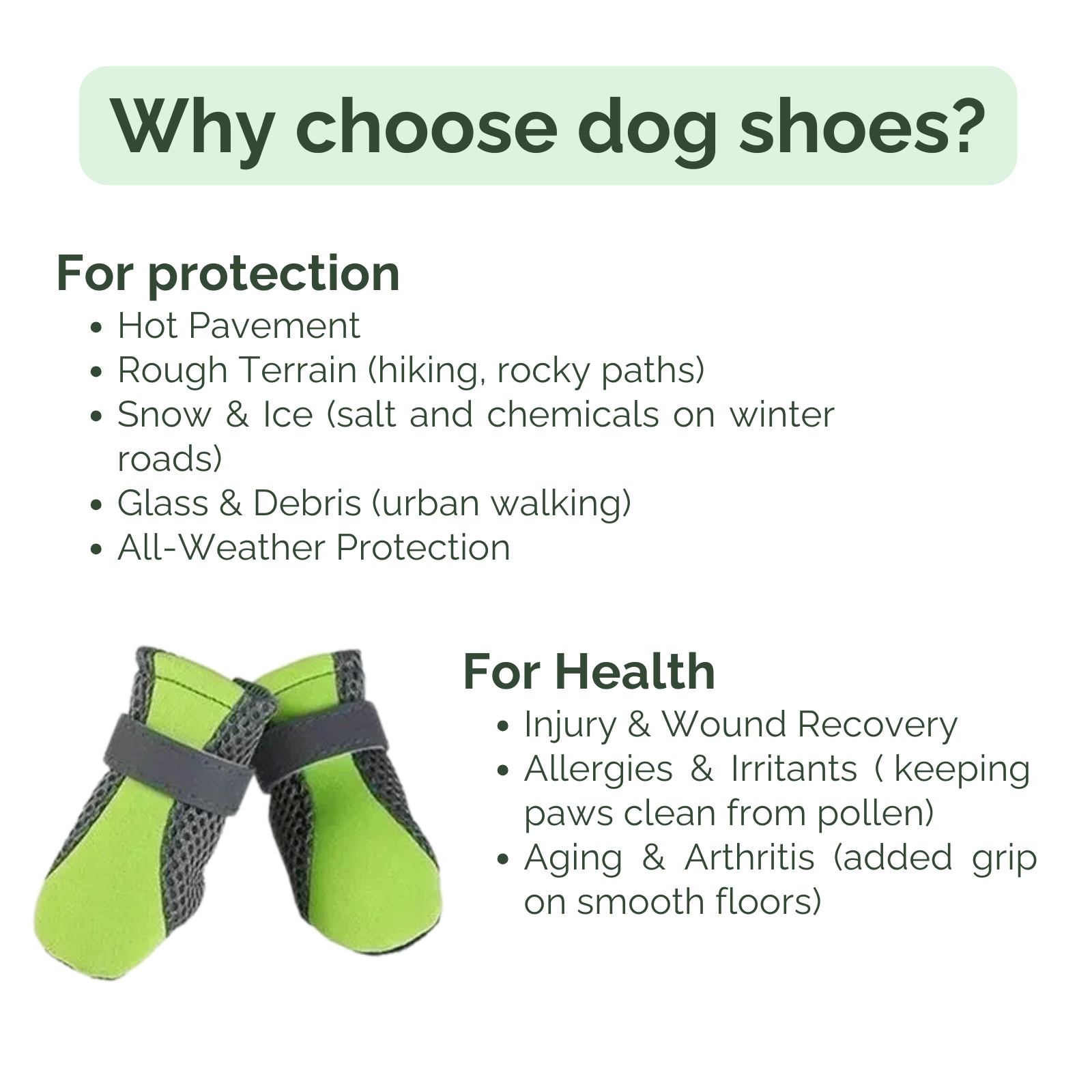 PawGuard Dog Shoes – Comfortable Protection for Every Season