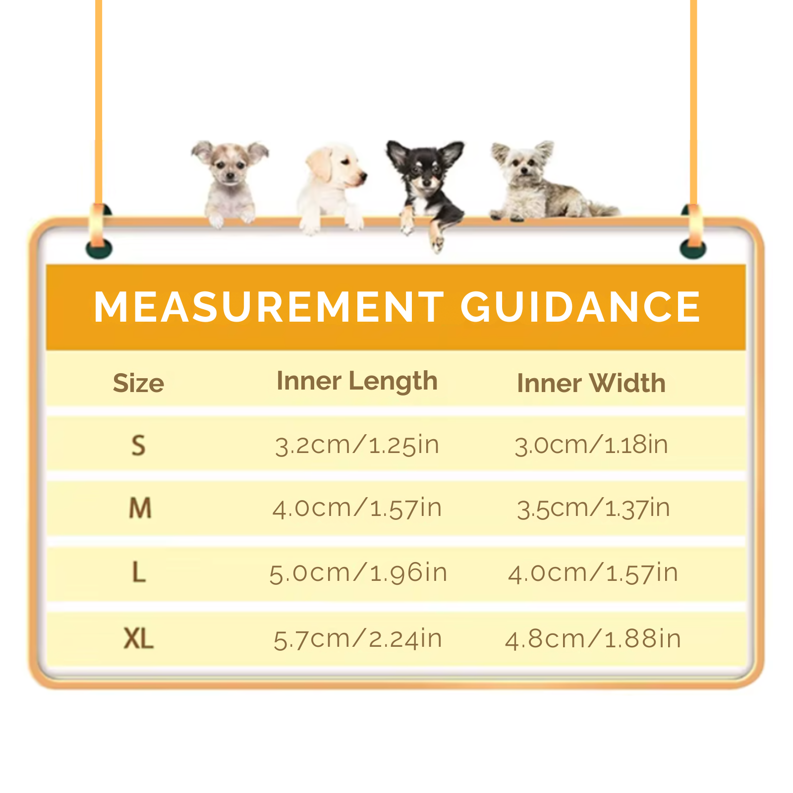 PawGuard Dog Shoes – Comfortable Protection for Every Season