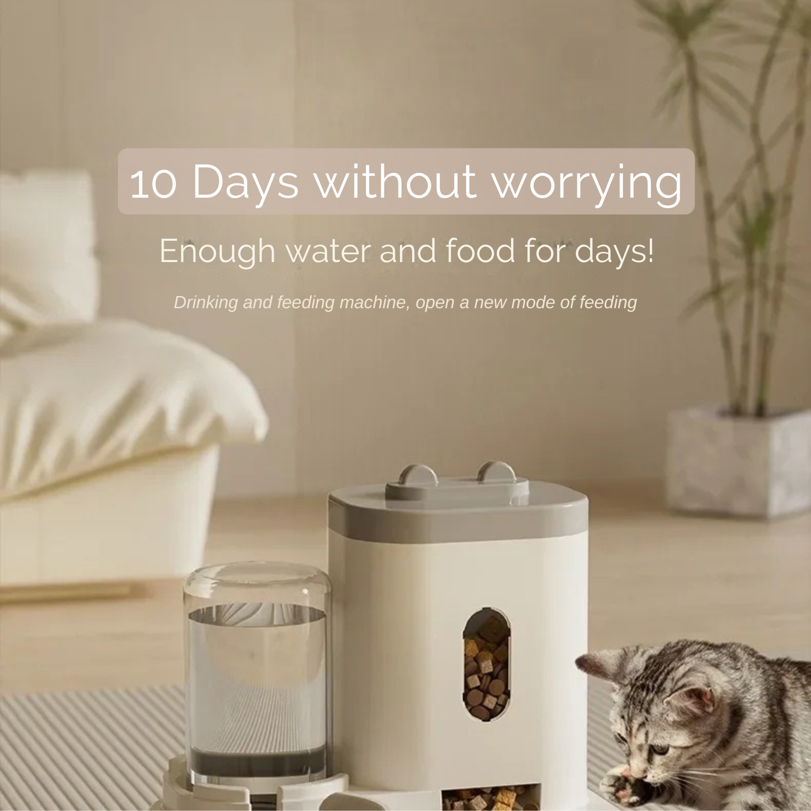 PetEase Automatic Feeder – Smart Solution for Food and Water