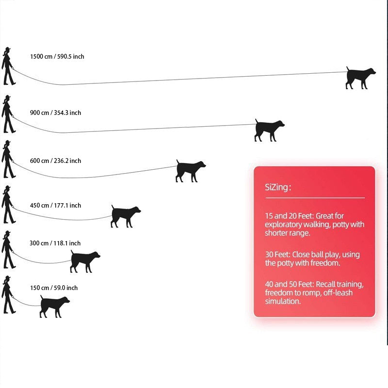 Long Nylon Dog Leash – Perfect for Training and Outdoor Activities