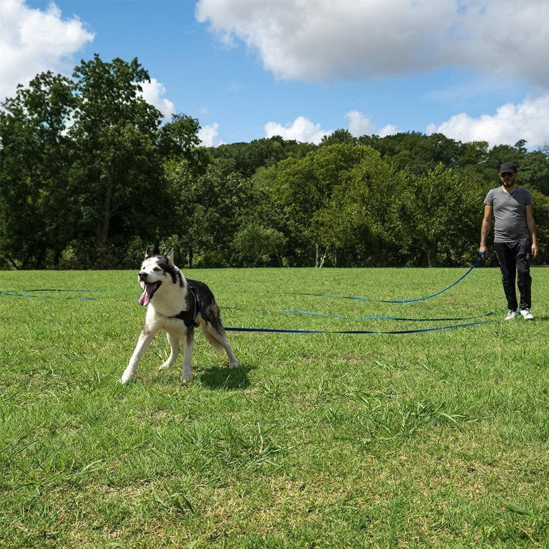 Long Nylon Dog Leash – Perfect for Training and Outdoor Activities