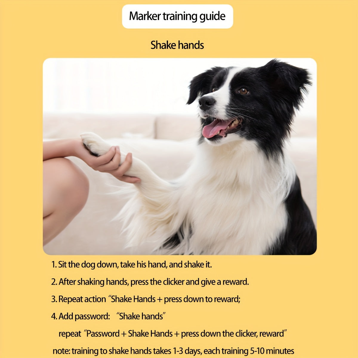 Dog Training Button – Improve Your Dog's Commands and Behavior