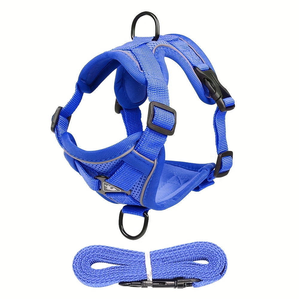 Reflective Cat Harness and Leash Set – Ideal for Walking and Training