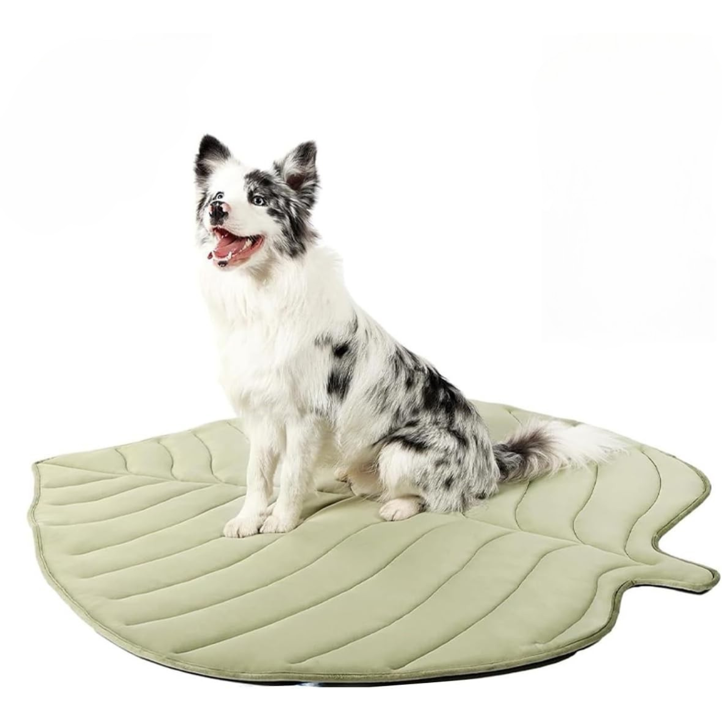 Cooling Mat for Dogs – Refreshing Leaf Design with Safe Cooling Gel