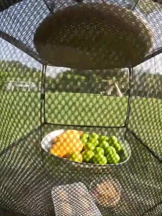 3-Tier Camping Storage Rack – Durable, Compact, and Handy for Camping and Outdoor Activities