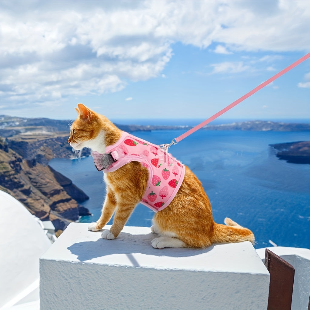KittyComfort Harness Set - For Cozy Walks and Adventures
