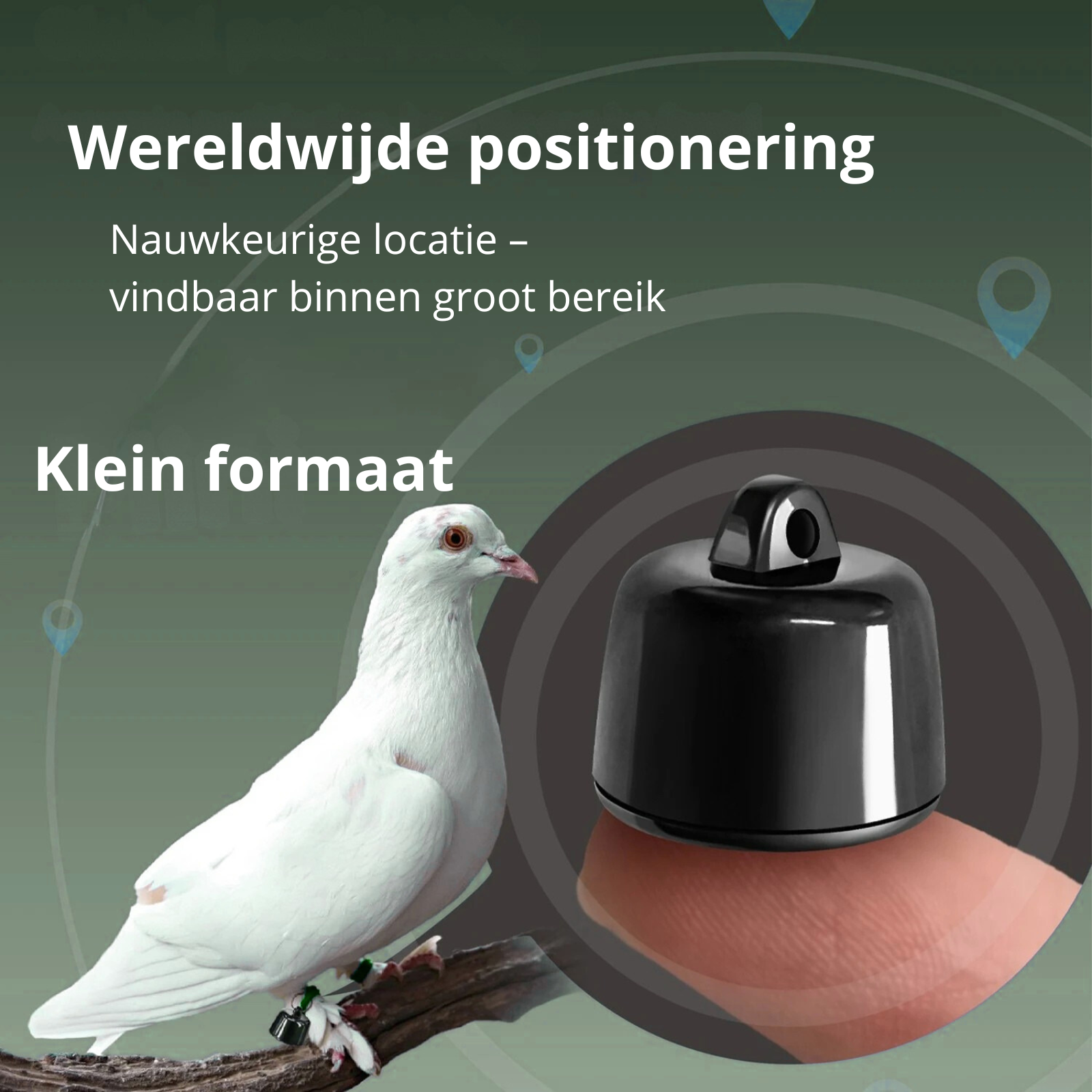 PetTrace Mini Tracker – Bluetooth Locator for Cats, Dogs and Small Pets