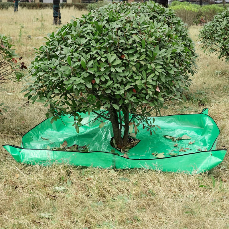 Large Garden Tarp with Tree Cutout – Waterproof, Reusable, and Perfect for Pruning Work