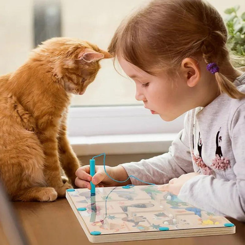 Educational Magnetic Dinosaur Maze - Learn Colors and Counting