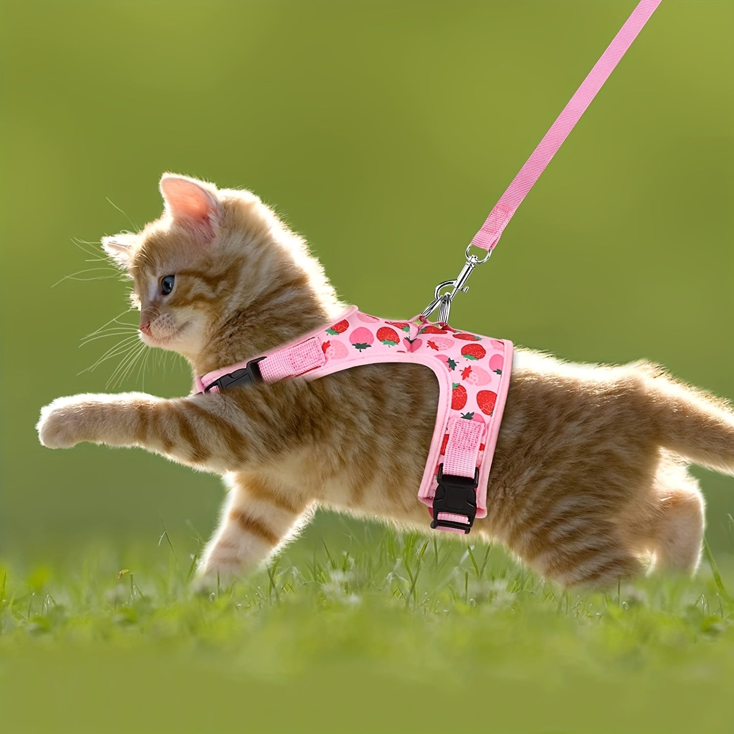 KittyComfort Harness Set - For Cozy Walks and Adventures