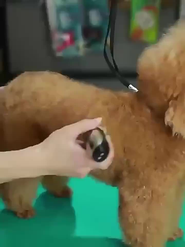 Wireless Pet Groomer – USB Rechargeable and Quiet for Dogs and Cats