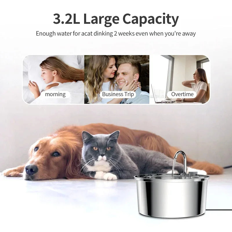 Stainless Steel Drinking Fountain for Cats – Quiet and Hygienic Hydration Convenience