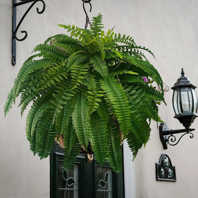 Verdantia Hanging Fern – Realistic Silk-Style Foliage