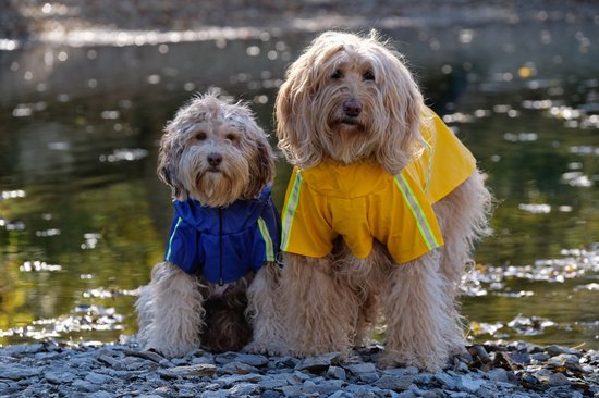 PupJoy - Reflective Dog Rain Jacket + Hood - Safe Night Walk